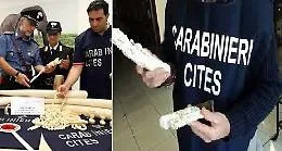 Siracusa, sequestrati 37 monili in avorio forse frutto di caccia di frodo