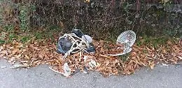 Catania: la "strada del vino" Sp 55 disseminata di rifiuti