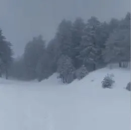 Meteo Sicilia, guarda come nevica!