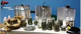 Un chilo di marijuana nascosto negli sportelli della cucina: americano arrestato