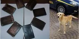Agrigento, fermato &ldquo;corriere&rdquo; della droga alla stazione ferroviaria