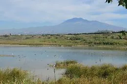 Ponte Barca, quel paradiso dimenticato a due passi dalla citt&agrave;