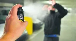 Palermo, studente spruzza spray al peperoncino in classe: denunciato