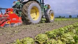 Agricoltura, 170 milioni per le aziende che si "convertono" al biologico