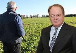 Agricoltura in Sicilia, l&rsquo;assessore Cracolici &laquo;A inizio 2016 i bandi per attivare la spesa&raquo;