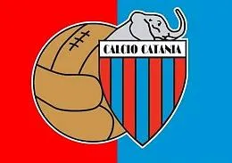 Calcio Catania, &ldquo;corsa&rdquo; contro i guai la societ&agrave; nomina l&rsquo;amministratore unico