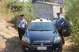 Cefal&ugrave;, aggrediti dai cinghiali in campagna Un uomo &egrave; morto, ferita grave una donna
