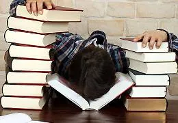 La Formazione professionale in Sicilia &laquo;I corsi al via ad agosto... Speriamo&raquo;