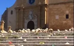 Agrigento, la Cattedrale rischia di crollare ma diventa pascolo per un gregge di pecore
