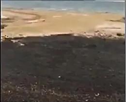Sversamento di petrolio alle Kerkennah Lampedusa salva
