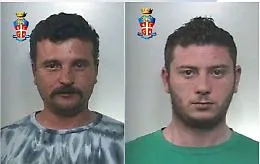 Messina, rubano un vitello e lo macellano sul posto: arrestati