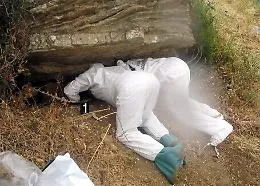 Teschi e ossa umane: cimitero di mafia scoperto a Roccamena