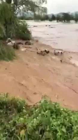 Senegal, alluvioni catastrofiche di cui nessuno parla