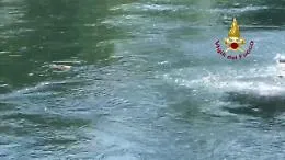 Un riccio in acqua: vigili del fuoco si tuffano nel Naviglio Grande e lo salvano