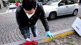 Catania, ciclamini in Corso Sicilia dopo furto di stelle di Natale