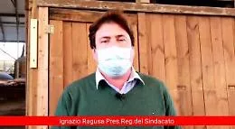&laquo;Sanificazione della sabbia e box in plexiglass? Follie&raquo;. Ma i gestori dei lidi sono pronti a nuove misure