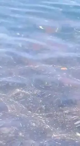 Recanati: mare balneabile?