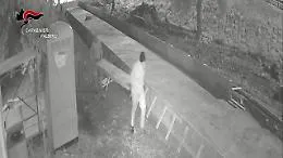 Blitz antimafia Stele, il video diffuso dai carabinieri