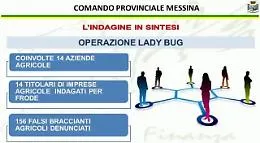 Mafia dei Nebrodi, arrestato imprenditore coinvolto in frode su fondi pubblici