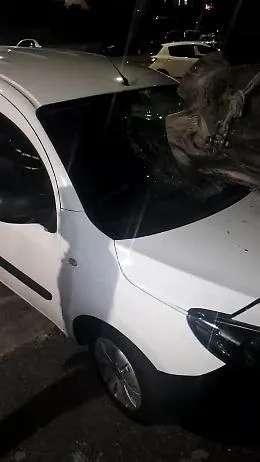 Catania, l'albero si schianta sull'auto davanti al cinema, tragedia evitata