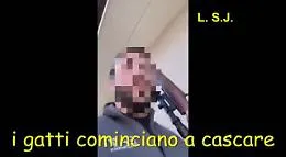 Operazione Minecreaft, nel video della polizia l'intimidazione con il gatto ucciso a fucilate