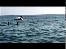 Agrigento, delfino in spiaggia "gioca" con i bagnanti