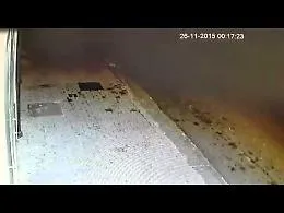 Siracusa, Cc arrestano ladri