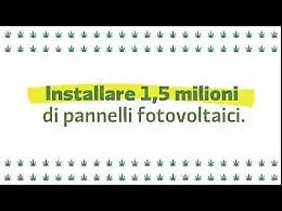 Matteo, #fallagirare: la campagna dei Giovani Democratici per l'erba libera
