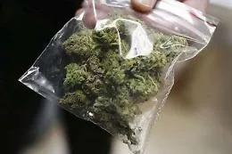 Messina, coppia di coniugi arrestata con droga in auto e in casa
