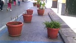 Catania: strisce blu occupate da...fioriere