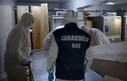 Reati ambientali in un allevamento di Giarre: i liquami sversati nel torrente 