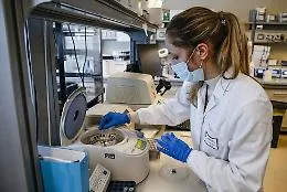 Covid, Rt in calo in Italia ma aumentano i ricoveri