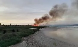 Incendio a Vendicari, sindaco di Noto: &laquo;Troppe fiamme dolose&raquo;
