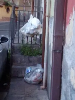 Adrano (Ct), mancata raccolta dell'umido: la protesta di un cittadino