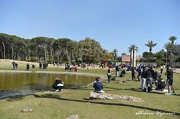 Catania, il boschetto della Plaia rimesso a nuovo &egrave; uno spettacolo