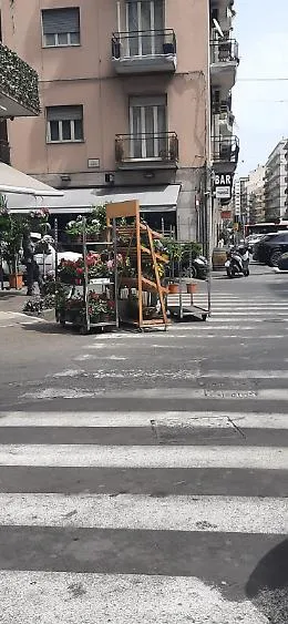 Catania: fiori in vendita sulle strisce pedonali