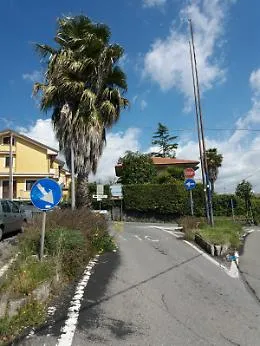 Viagrande (Ct): Palma "abbracciata" ad un lampione occulta la visibilit&agrave;