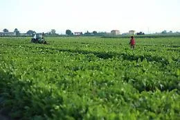 In Sicilia, Sibeg sempre pi&ugrave; green