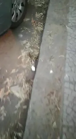 Catania, pulizia delle strade: storia di un'abitudine dimenticata