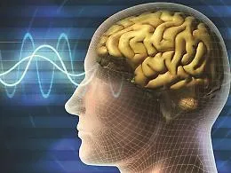Nuova strategia genetica per la psichiatria di precisione: scoperti 766 geni della schizofrenia, 641 mai collegati al disturbo