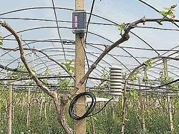 SmartIsland, l&rsquo;agricoltura 4.0 diventa realt&agrave; anche in Sicilia