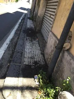 Zafferana Etnea: il viale Libert&agrave; non &egrave; stato ancora ripulito