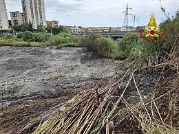 Catania, bruciano canneto e sterpaglie a Librino: vigili del fuoco al lavoro