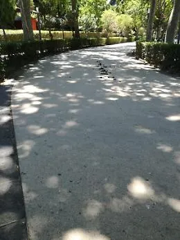 Catania: escrementi di cavallo nei viali della villa Bellini
