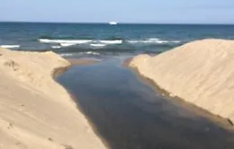 Catania, Plaia &ldquo;chiusa&rdquo; per mare sporco: lo scandalo degli scarichi sul litorale