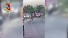 Camporotondo etneo, il video della corsa clandestina di cavalli seguita da un corteo di moto