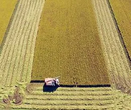 Aree rurali e aziende agricole, pubblicate le graduatorie provvisorie: 65 milioni per la viabilit&agrave; rurale in Sicilia