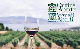 Vigneti aperti, il bis di Cantine aperte, con la Sicilia ancora "gialla"