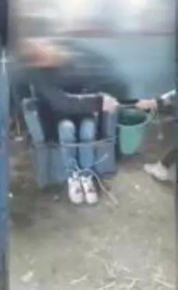Torture ai disabili, tre arresti e un  divieto di avvicinamento