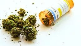 &laquo;La legge esiste gi&agrave;, si aumentino le patologie curabili con la cannabis&raquo;. L'appello a Schifani e ai deputati regionali